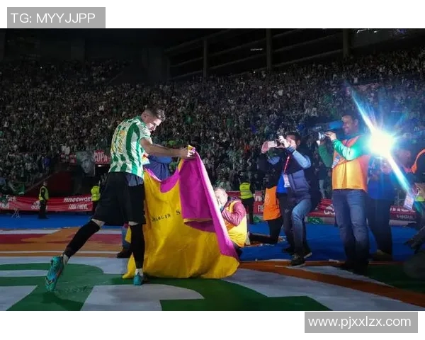 法语国家的足球巨星们如何在绿茵场上书写传奇故事