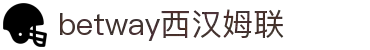 BETWAY·必威(西汉姆联)官方网站-West Ham United